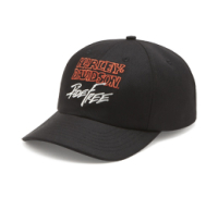 H-D lippikset