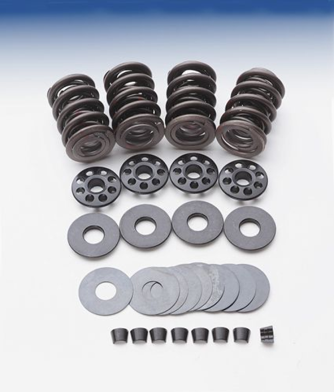 TRIP.VLV.SPRING KIT EVO B/T&XL 45846