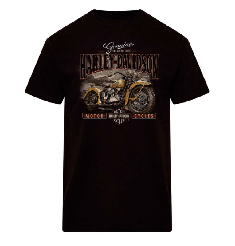 MIESTEN  H-D T-PAITA NOBLE 40291886