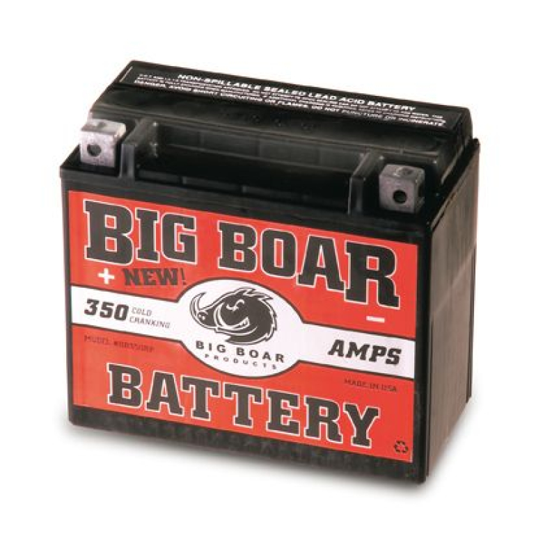 BIG BOAR BB350-RP BATT /UN2796 618893