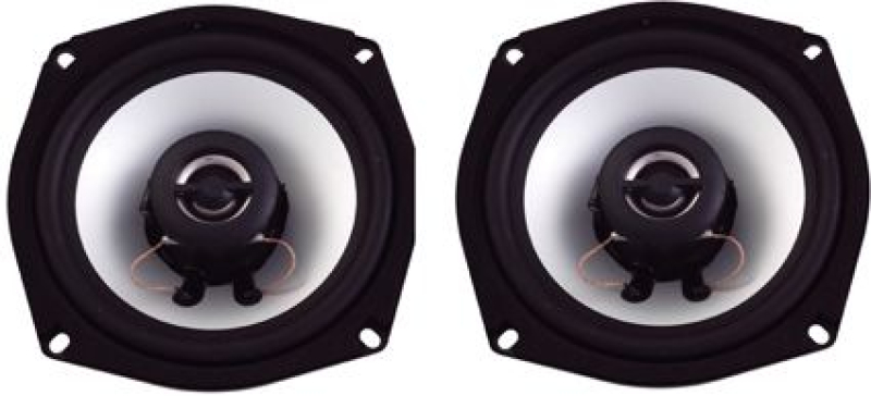 5-1/4&quot; 96-06 FLHT/FLTR 4 OHM 689406