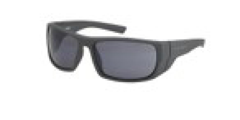 H-D WINBORN AURINKOLASIT HZ00126720A