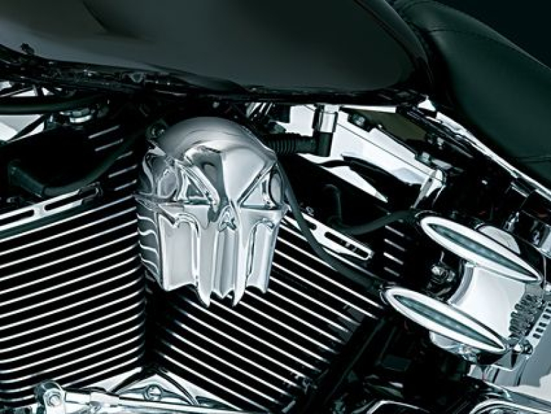 SKULL HORN COVER 629670
