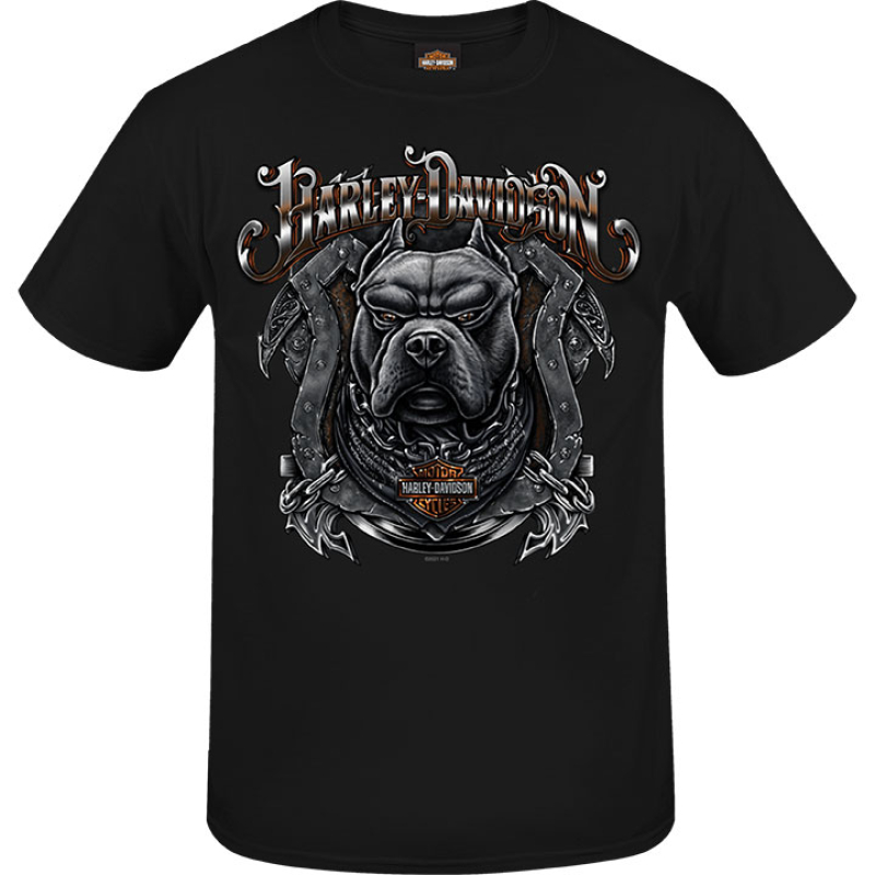 MIESTEN H-D T-PAITA ON GUARD R004163