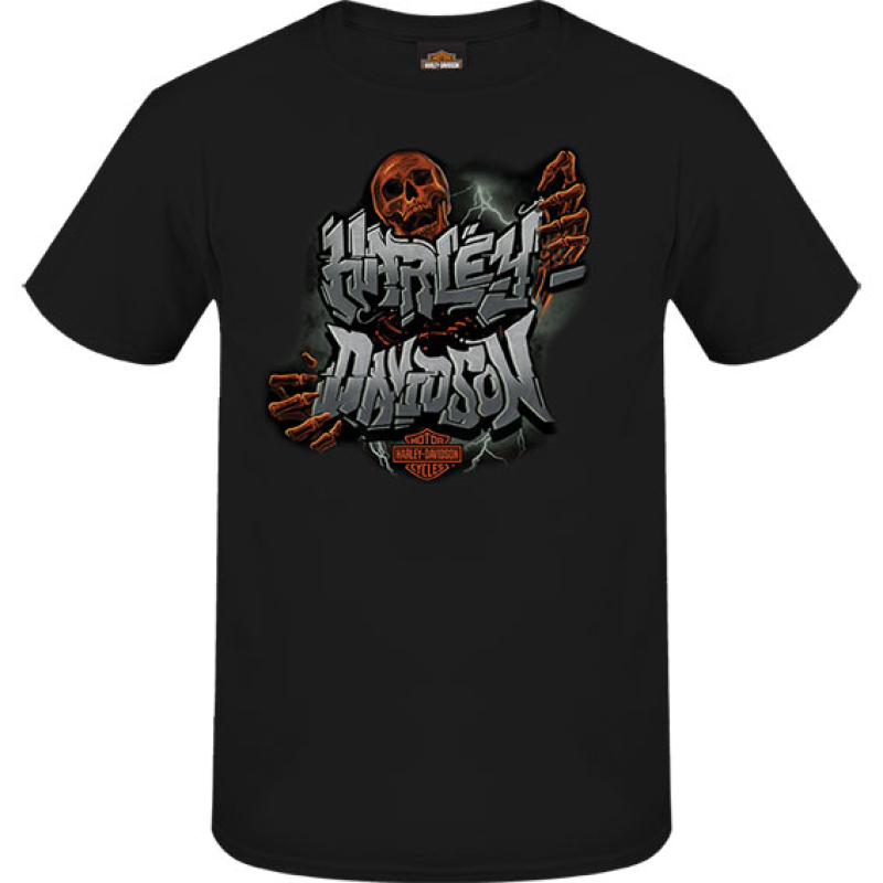 MIESTEN H-D T-PAITA RED BONE R004434