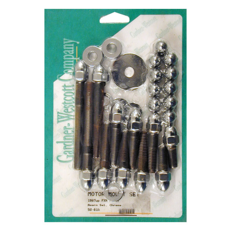 MOTOR MOUNT SCREW KIT, ACORN 513246