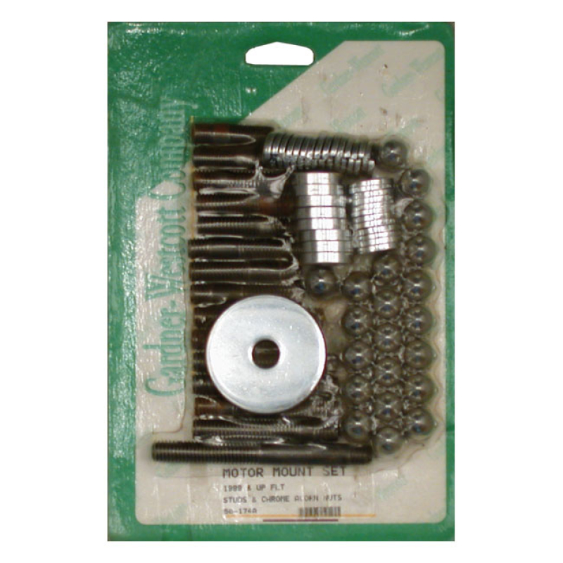 MOTOR MOUNT SCREW KIT, ACORN 513249