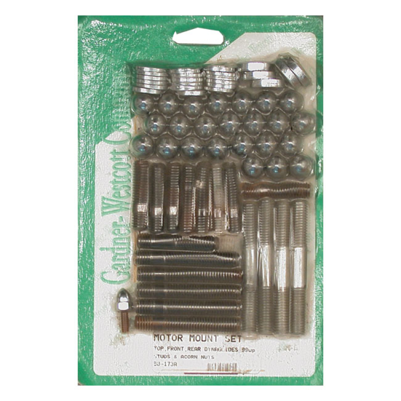 MOTOR MOUNT SCREW KIT, ACORN 513250