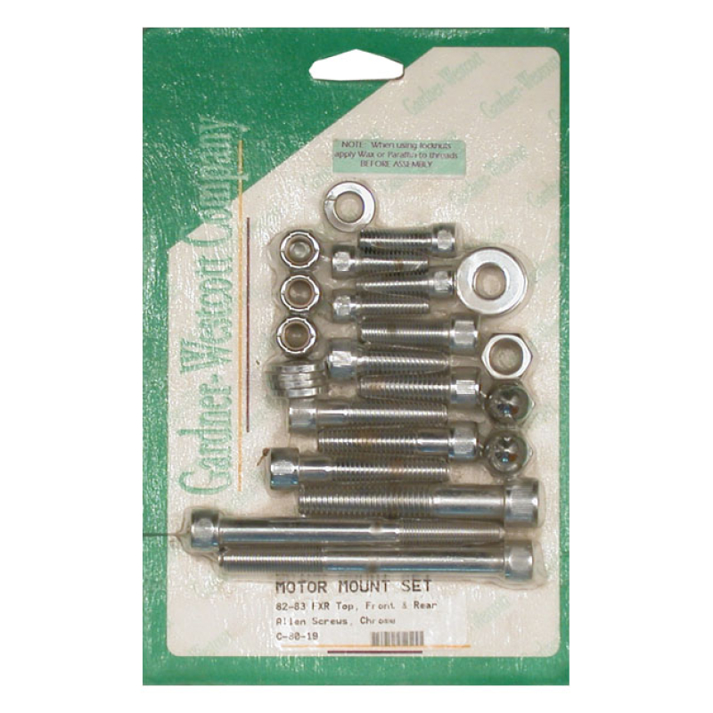 MOTOR MOUNT SCREW KIT, ALLEN 513253