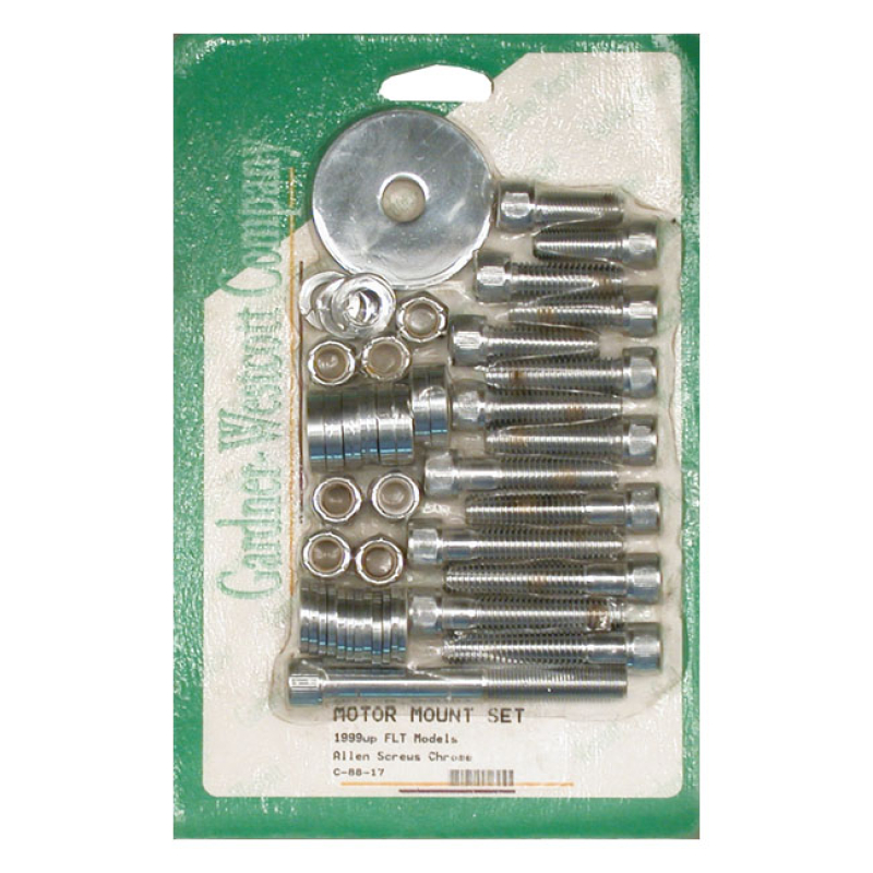 MOTOR MOUNT SCREW KIT, ALLEN 513261