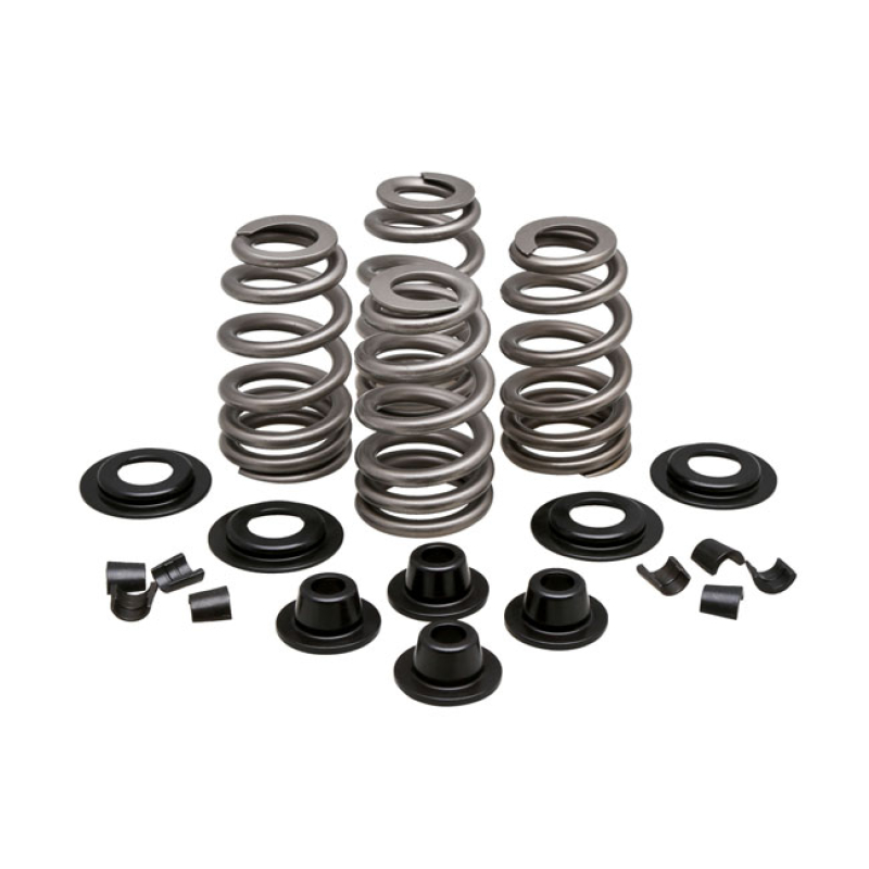 KPMI BEEHIVE VALVE SPRING KIT .600&quot; LIFT 524623
