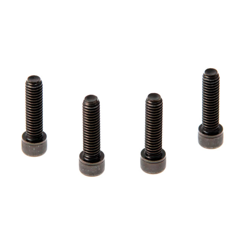 CULT-WERK, FRONT FENDER BOLT KIT. BLACK BLACK ZINC PLATED STEEL. 563761