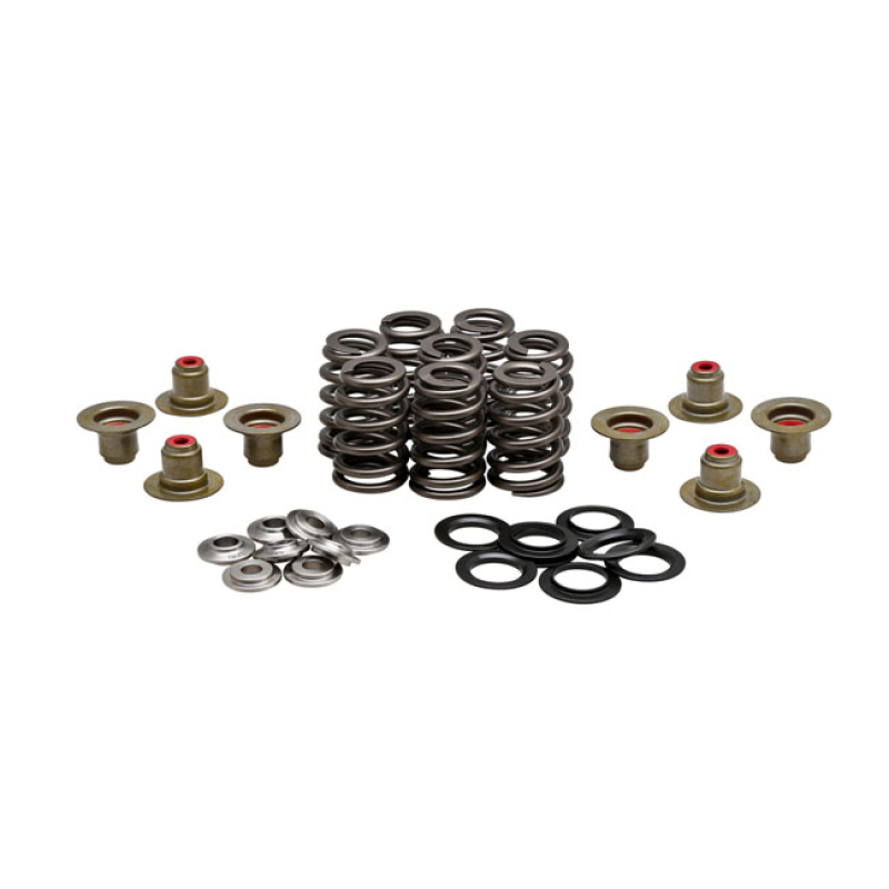KPMI, .550&quot; HIGH LIFT VALVE SPRING KIT. TITANIUM 588695